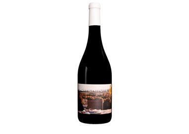 HERPE PAUL & VIGNERONS ASSOCIES AUTHENTICITE-Chateau Camplazens 2023