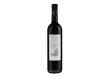 LES QUATRE TOURS BOUCHES DU RHONE-Abbaye Notre Dame de Fidelit 2021
