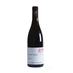 PAQUET MONTAGNAC BOURGOGNE SARL PINOT NOIR Collection-Maison Chanzy 2022