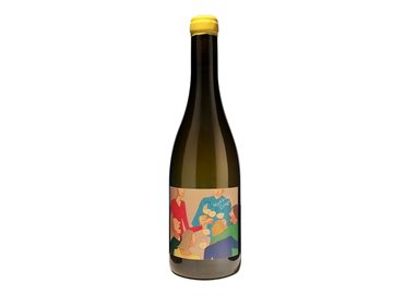 VINCENT RUIZ SAS - Domaine du Gringet E  GRINGET Monsieur-Domaine du Gringet 2020