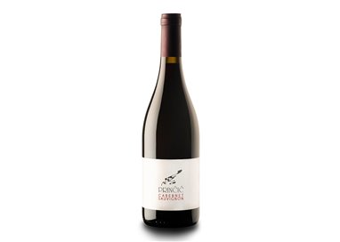 PRINCIC TOMAZ CABERNET SAUVIGNON-Princic 2022