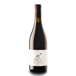 PRINCIC TOMAZ PINOT NOIR GORISKA BRDA-Princic 2021