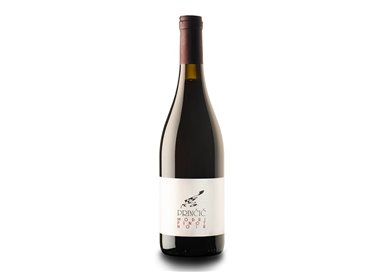 PRINCIC TOMAZ PINOT NOIR GORISKA BRDA-Princic 2023