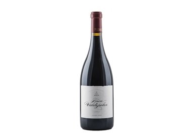 A-WINES SPAIN & PORTUGAL S.L. FINCA VALDEPOLEO-Vinedos Pujanza 2020
