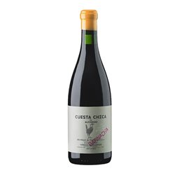 AGRICOLA TIERRAS ALTAS S.A. CUESTA CHICA-Vinedos de Alcohuaz 2021