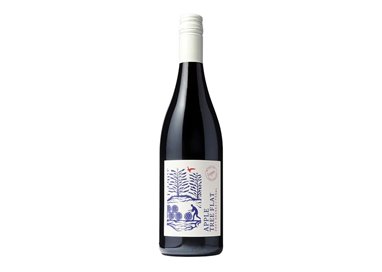 CARL ADELSECK GmbH Apple Tree Flat SHIRAZ Tappo Vite-Logan 2021