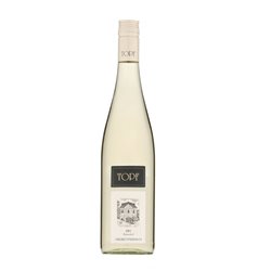 JMS WEINHANDEL GmbH - VINO AUTENTICO FC  RIESLING Strassertal Tappo Vite-Topf 2022