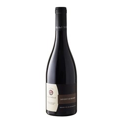 SAVDVF Sas FC  SAVIGNY-LES-BEAUNE-Domaine Noellat 2022