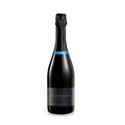 VILLA HUESGEN Weingut - Huesgen Adolph RIESLING Blauschiefer Trocken Mosel Tappo Vit 2022