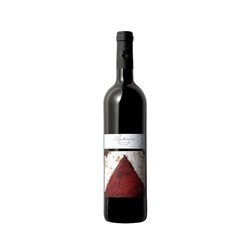 VINS NOE SL GARNACHA Particular Old Wine-San Valero 2022