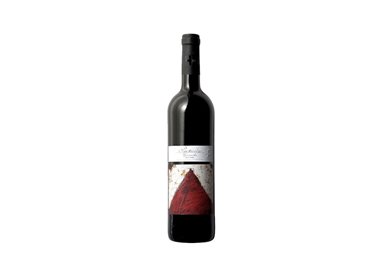 VINS NOE SL GARNACHA Particular Old Wine-San Valero 2022