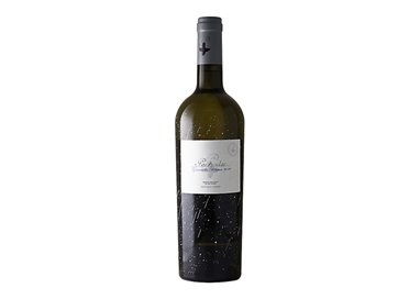 VINS NOE SL GARNACHA BLANCA Particular-San Valero 2022