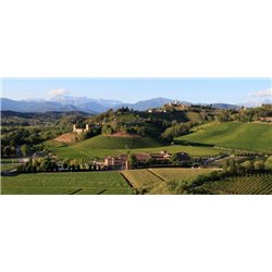 Chardonnay  IGT   2021  Jermann