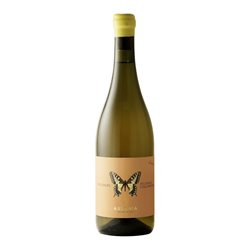 AUSONIA Azienda Agricola di Binelli Simone Anfora Machaon PECORINO COLLI APRUTINI .. 2022