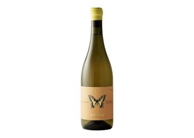 AUSONIA Azienda Agricola di Binelli Simone Anfora Machaon PECORINO COLLI APRUTINI .. 2022