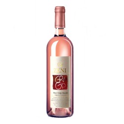 2023 PINOT GRIGIO RAMATO Fontane-Zeni
