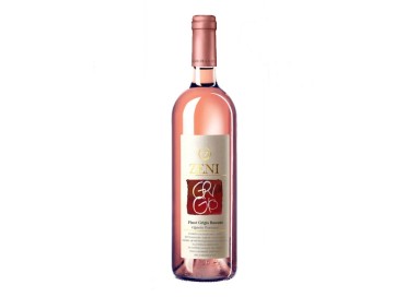 2023 PINOT GRIGIO RAMATO Fontane-Zeni