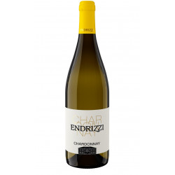 White Wine Chardonnay Trentino Doc 2019 Winery Endrizzi