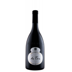 Vino bianco Da Fòra Manzoni Bianco Trentino 2020 Cantina Toblino -cz