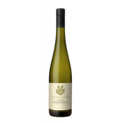 Vino Bianco Moscato Giallo / Goldmuskateller Alto Adige Turmhof 2023 Tiefenbrunner -cz