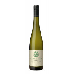 Vino Bianco Sauvignon Blanc Alto Adige Turmhof 2022 Tiefenbrunner -cz