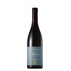 Vino Rosso Flammante Valtellina Superiore Inferno Tenuta Scerscé -cz