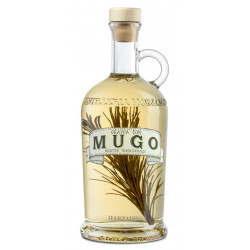 Grappa le Erbe Mugo 40° Distilleria Marzadro