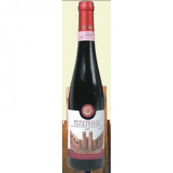 Sagrantino di Montefalco Passito 2008 Matteo Napolini
