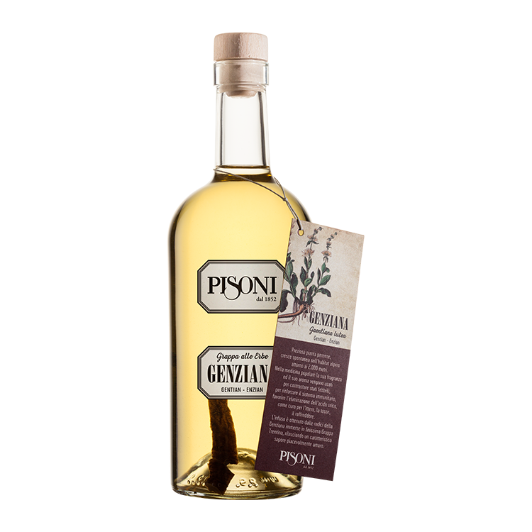Distilleria Pisoni - Grappa Genziana 70cl 40° Distilleria Pisoni - Grappa Genziana 70cl 40°