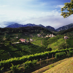 Prosecco Superiore di Valdobbiadene DOCG Jeio Colmei Bisol